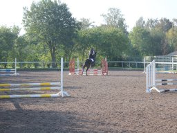 img_0147_web